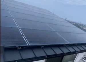 LINE_ALBUM_岸野様　ハト_231211_15